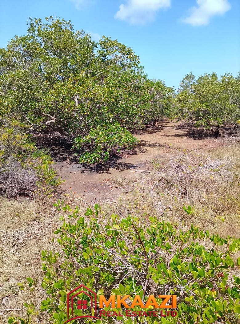 5-Acre Oceanfront Property for Sale on Manda Island – Freehold Title | KES 3.3M Per Acre