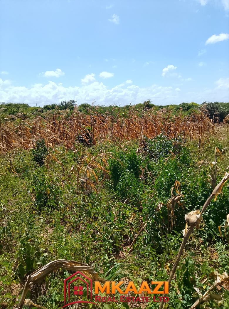 5-Acre Oceanfront Property for Sale on Manda Island – Freehold Title | KES 3.3M Per Acre