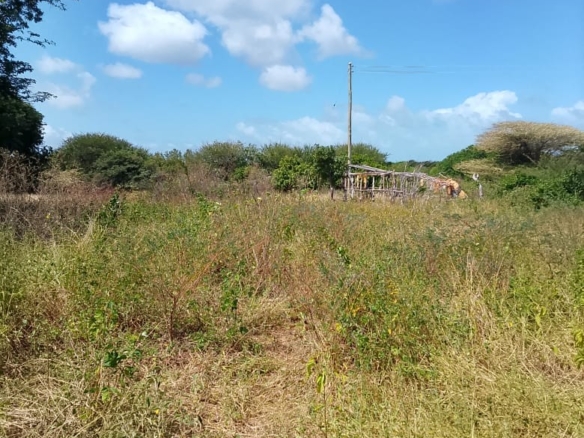 5-Acre Oceanfront Property for Sale on Manda Island – Freehold Title | KES 3.3M Per Acre