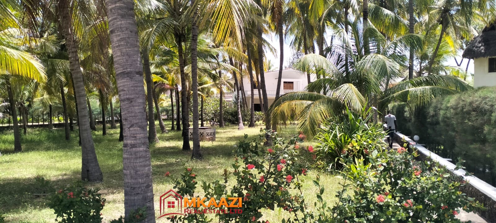 Twin 3-Bedroom Beachfront Villas for Sale in Mambrui – 1 Acre | €360,000 / KES 53.8M