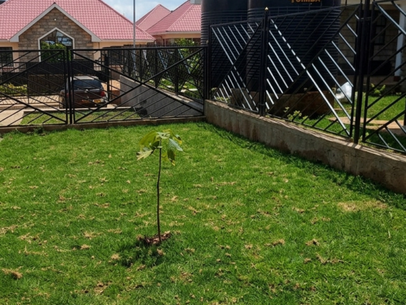 Bungalow for sale development along Kenyatta road