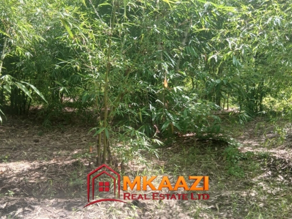 Hospitality & Eco-Tourism Investment Property on 5.4 Acres in EMbu