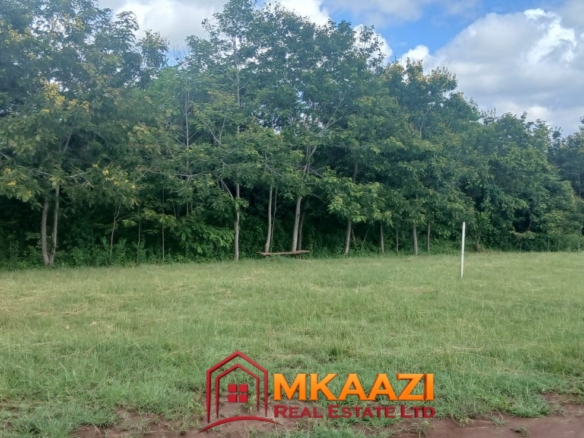 Hospitality & Eco-Tourism Investment Property on 5.4 Acres in Embu