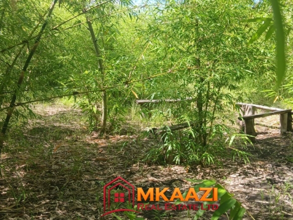 Hospitality & Eco-Tourism Investment Property on 5.4 Acres in Embu