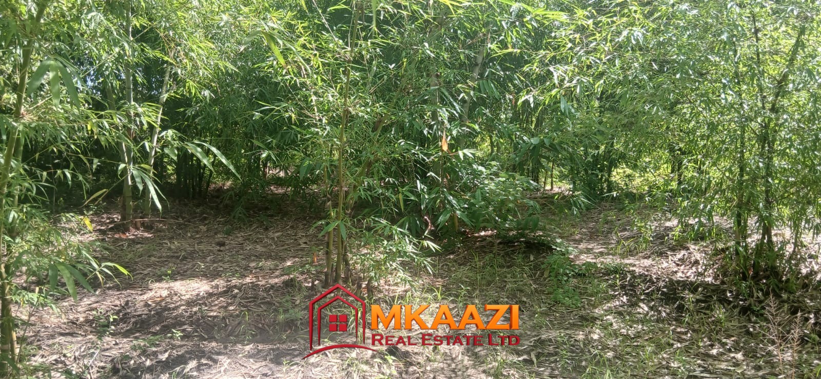 mweawango institute of technology Hospitality & Eco-Tourism Investment Property on 5.4 Acres in EMbu