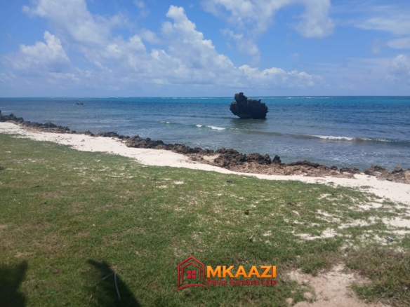 Beachfront land in Mayungu with mature palm trees