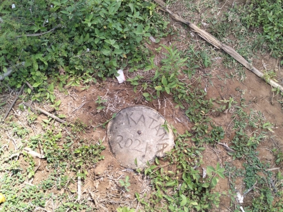 Prime 1.75-Acre Property for Sale in Matsangoni, Malindi | KES 3.5M