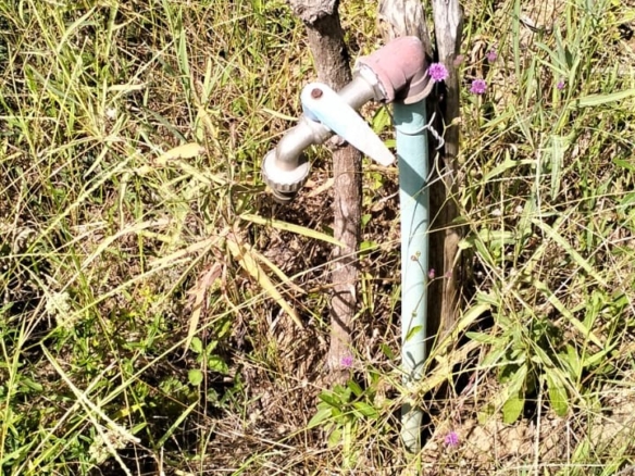 Prime 1.75-Acre Property for Sale in Matsangoni, Malindi | KES 3.5M
