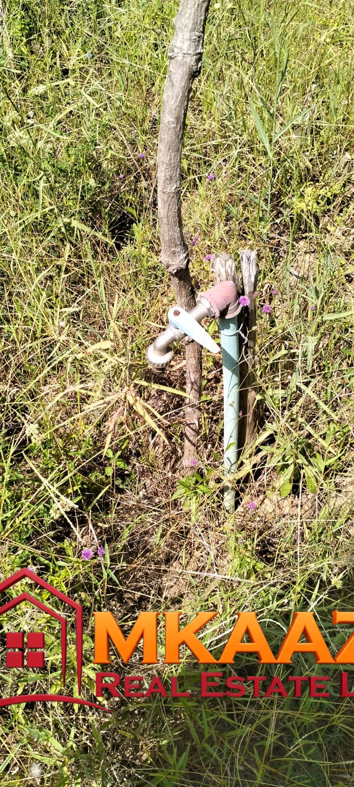 1.75 Acres (10) Prime 1.75-Acre Property for Sale in Matsangoni, Malindi | KES 3.5M