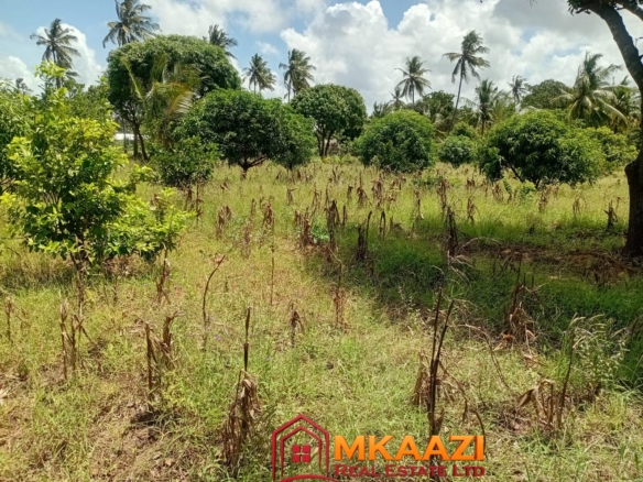 Prime 1.75-Acre Property for Sale in Matsangoni, Malindi | KES 3.5M