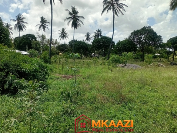 1.75-acre property for sale in Matsangoni with mature coconut palms, trees, fencing, gated access, piped water and electricity
