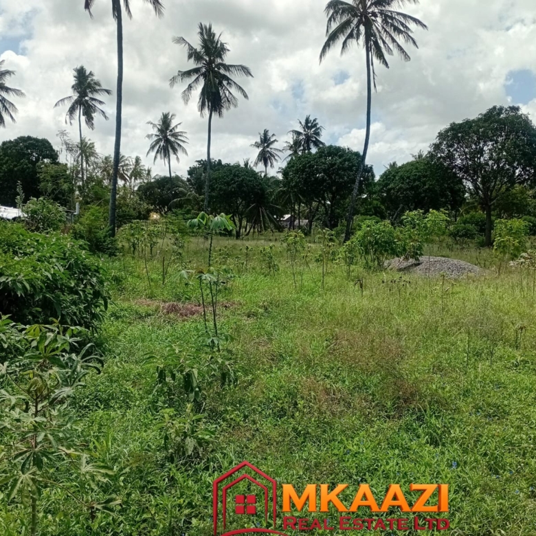 1.75-acre property for sale in Matsangoni with mature coconut palms, trees, fencing, gated access, piped water and electricity
