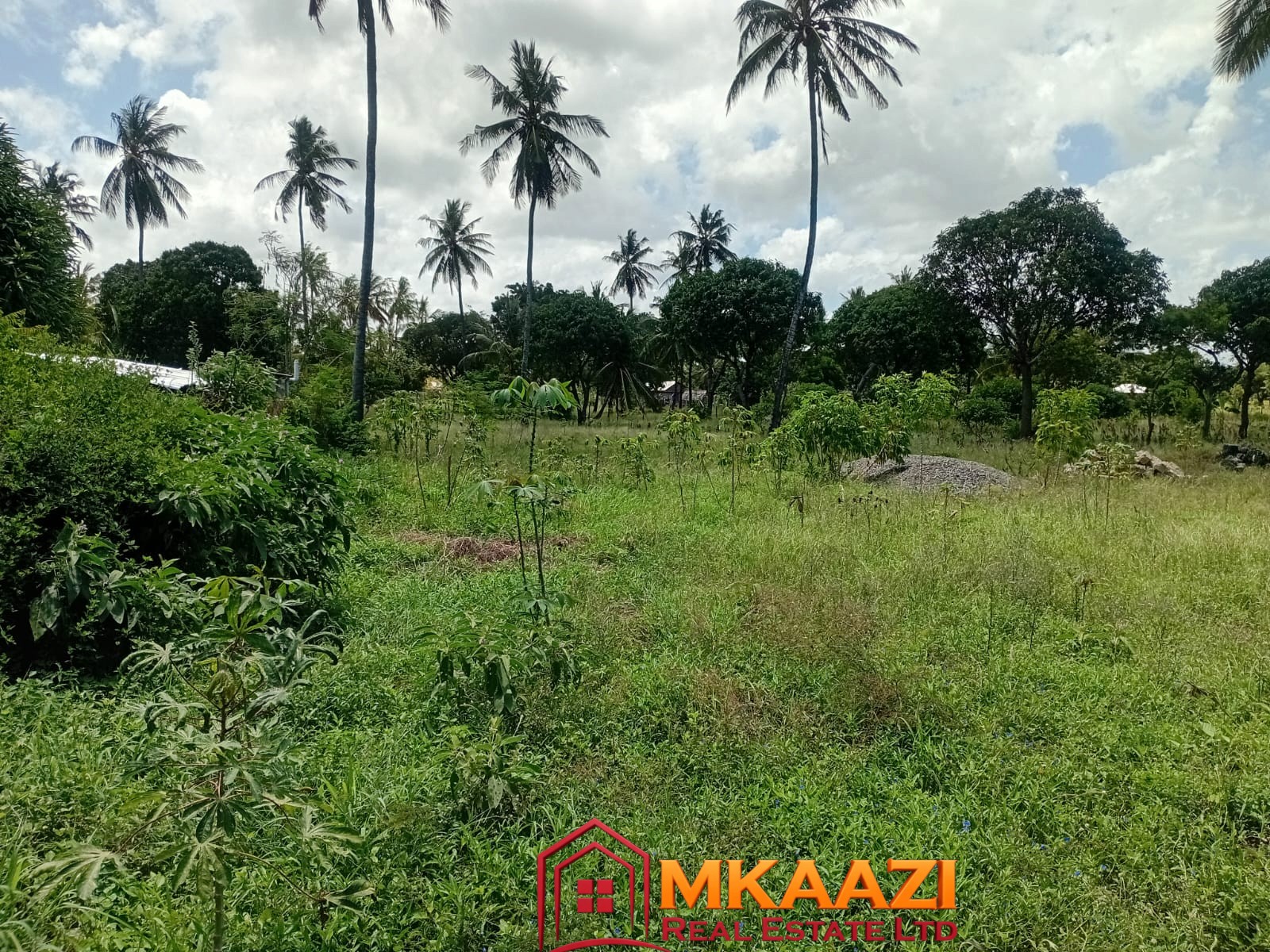1.75 Acres (12) 1.75-acre property for sale in Matsangoni with mature coconut palms, trees, fencing, gated access, piped water and electricity