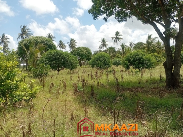 Prime 1.75-Acre Property for Sale in Matsangoni, Malindi | KES 3.5M
