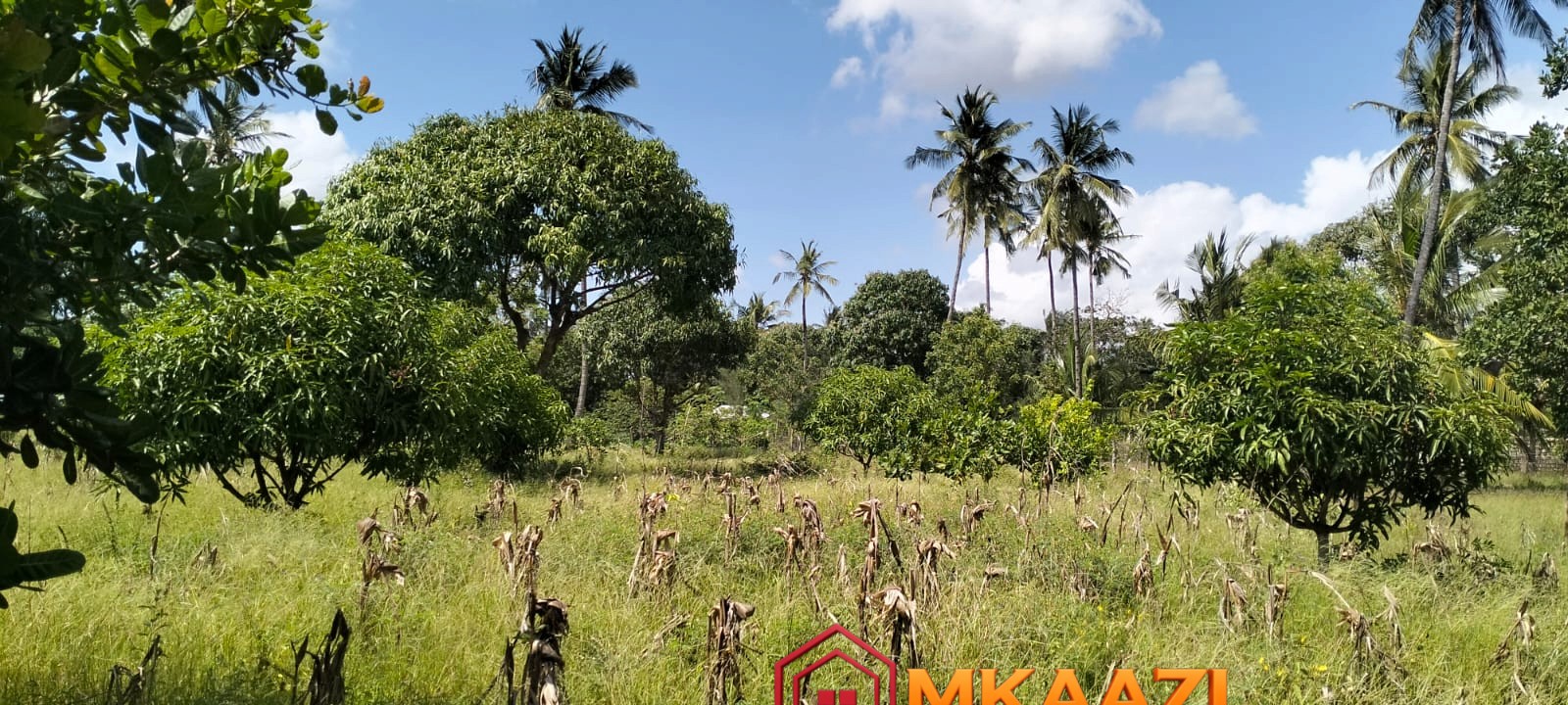 1.75 Acres (14) Prime 1.75-Acre Property for Sale in Matsangoni, Malindi | KES 3.5M