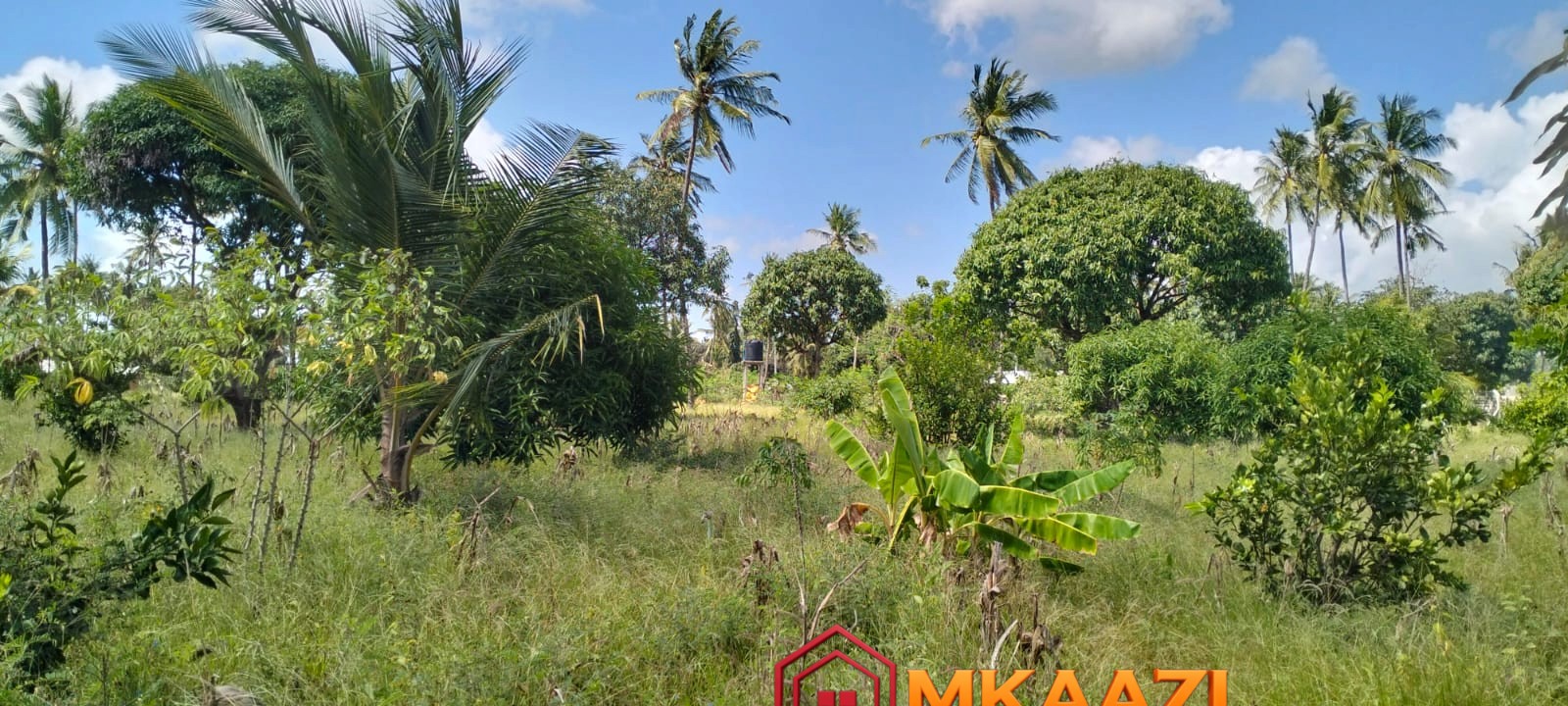 1.75 Acres (16) Prime 1.75-Acre Property for Sale in Matsangoni, Malindi | KES 3.5M