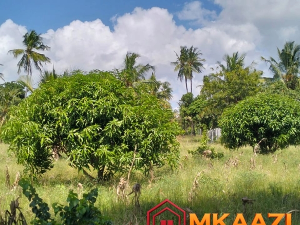 Prime 1.75-Acre Property for Sale in Matsangoni, Malindi | KES 3.5M