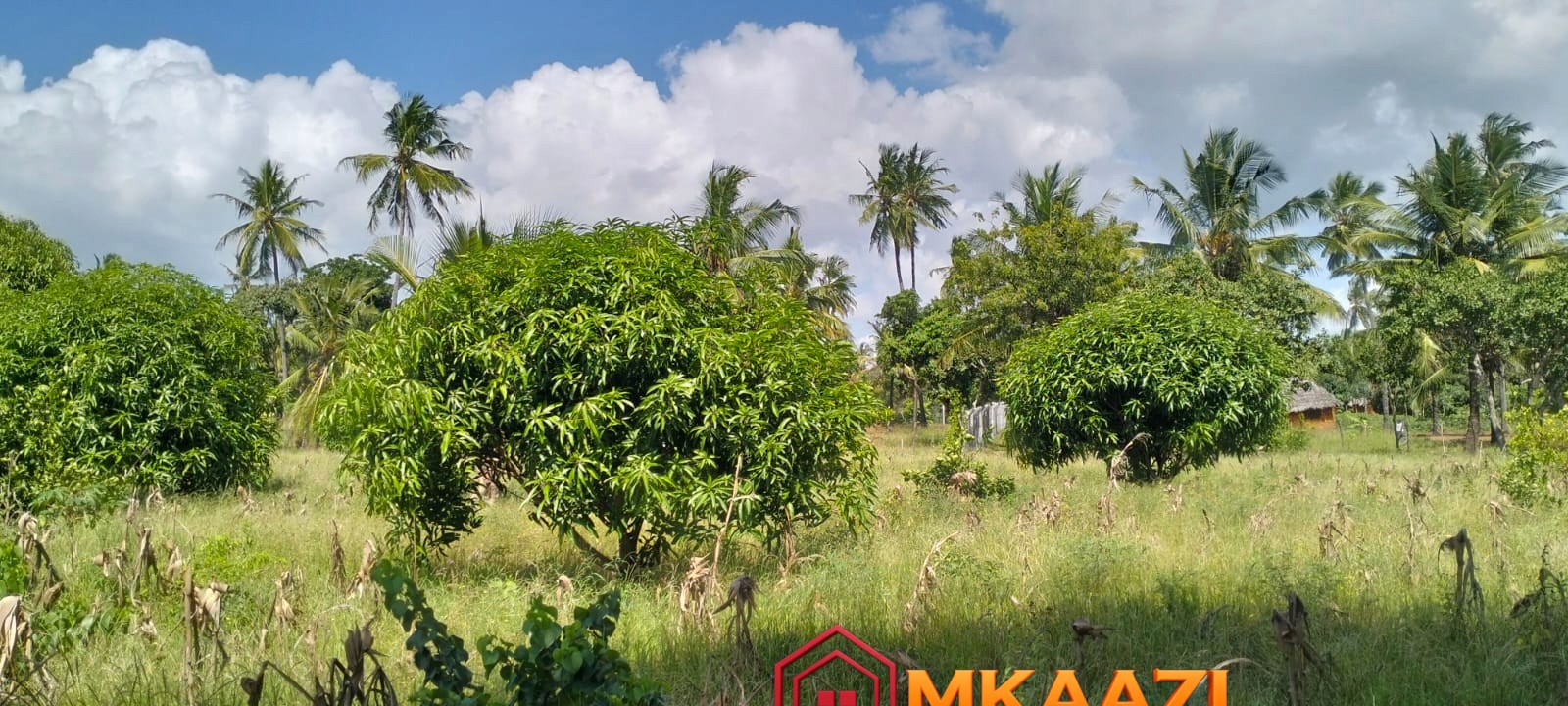 1.75 Acres (17) Prime 1.75-Acre Property for Sale in Matsangoni, Malindi | KES 3.5M