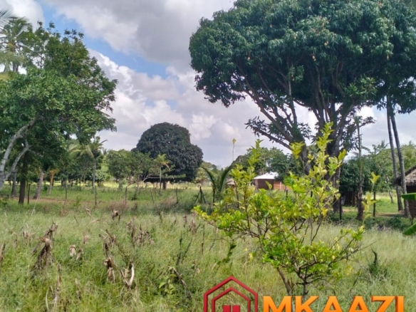 Prime 1.75-Acre Property for Sale in Matsangoni, Malindi | KES 3.5M