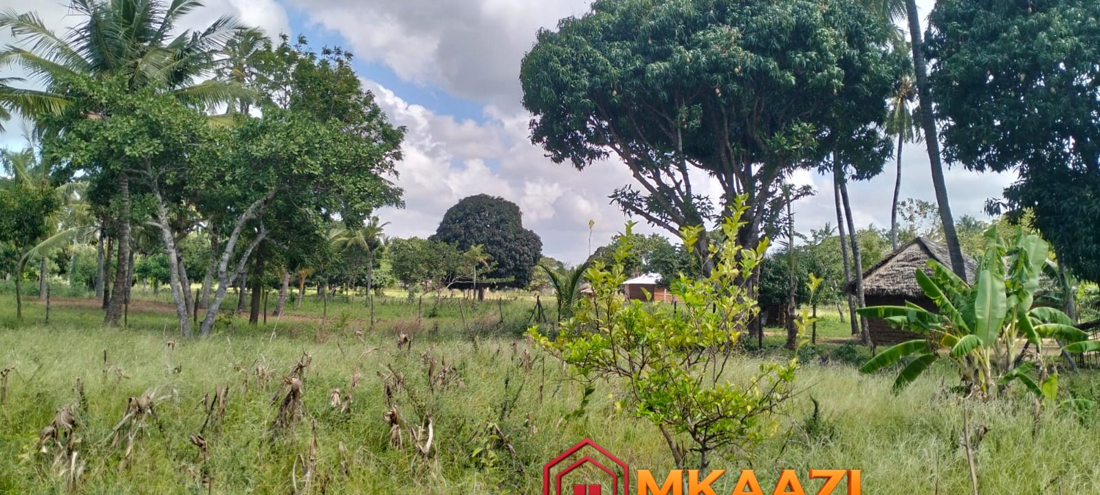 1.75 Acres (18) Prime 1.75-Acre Property for Sale in Matsangoni, Malindi | KES 3.5M