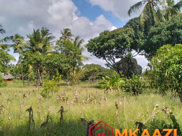 Prime 1.75-Acre Property for Sale in Matsangoni, Malindi | KES 3.5M