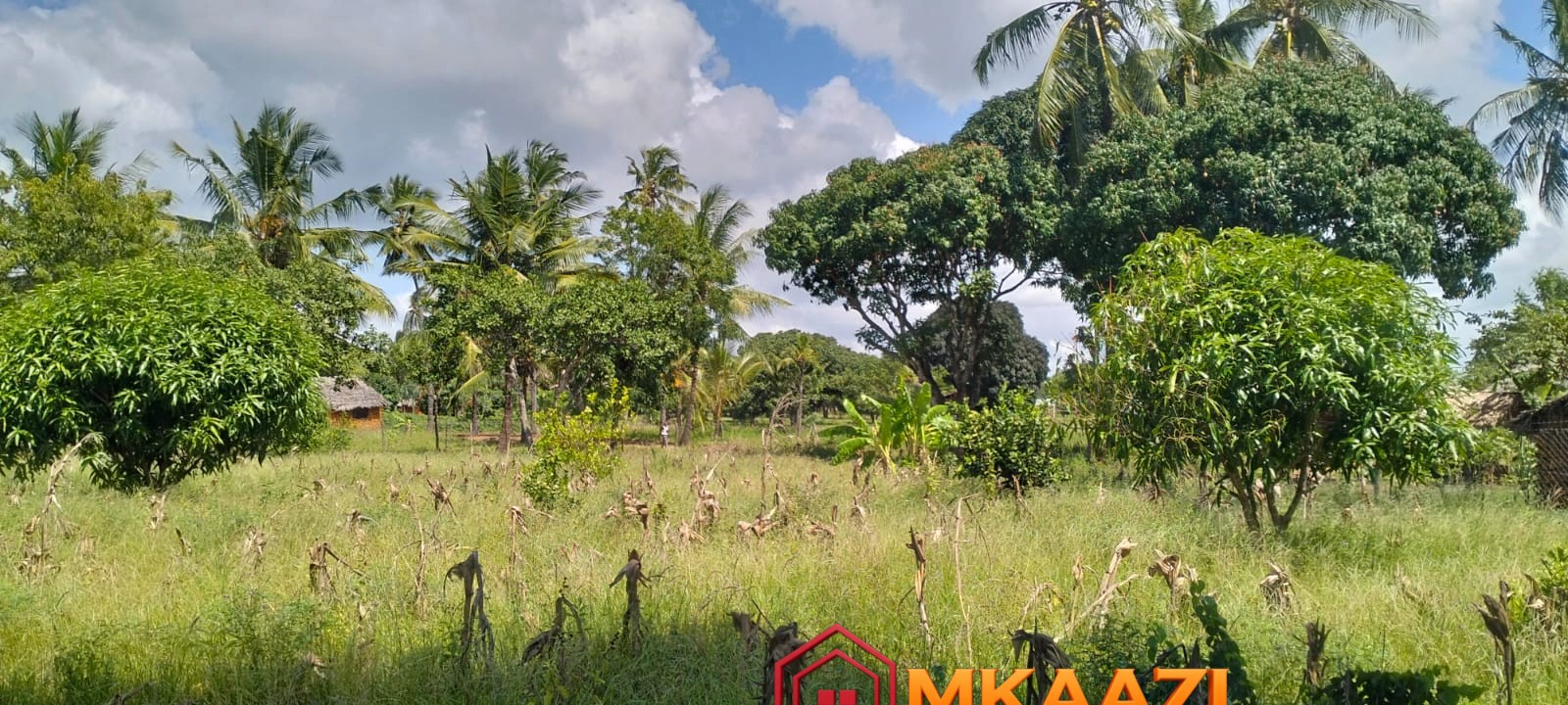 1.75 Acres (19) Prime 1.75-Acre Property for Sale in Matsangoni, Malindi | KES 3.5M