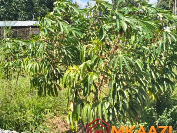 Prime 1.75-Acre Property for Sale in Matsangoni, Malindi | KES 3.5M