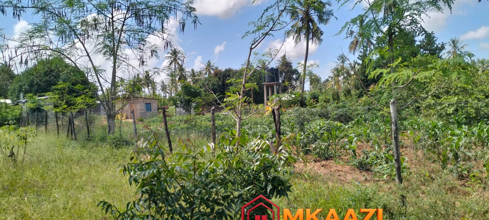 1.75 Acres (20) Prime 1.75-Acre Property for Sale in Matsangoni, Malindi | KES 3.5M