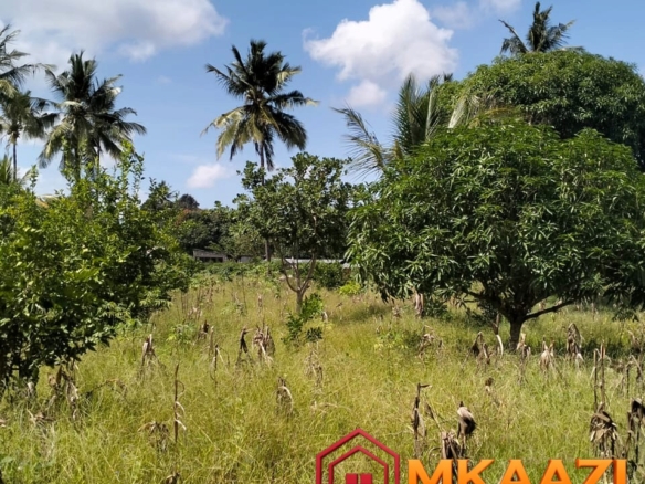 Prime 1.75-Acre Property for Sale in Matsangoni, Malindi | KES 3.5M