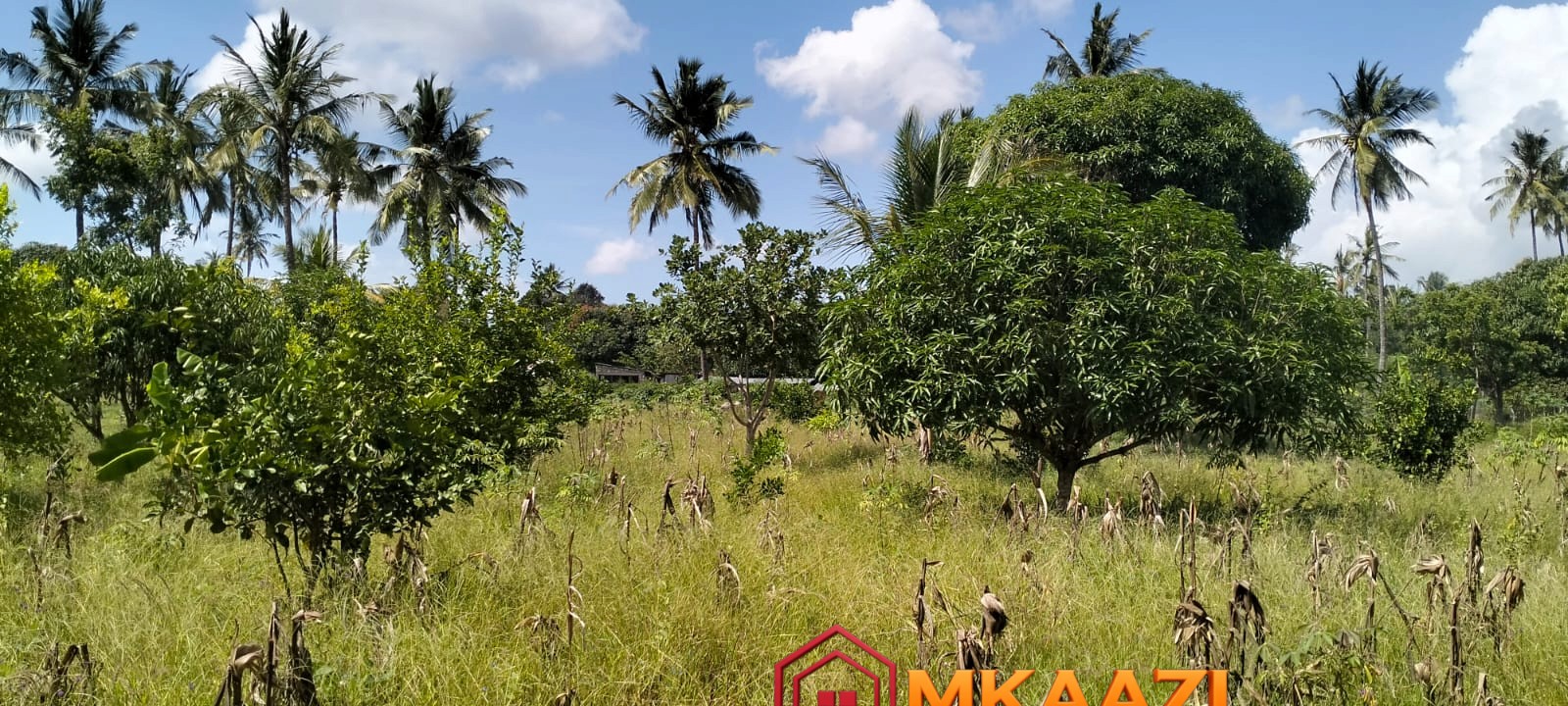 1.75 Acres (21) Prime 1.75-Acre Property for Sale in Matsangoni, Malindi | KES 3.5M