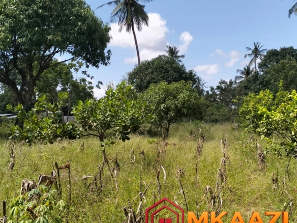Prime 1.75-Acre Property for Sale in Matsangoni, Malindi | KES 3.5M