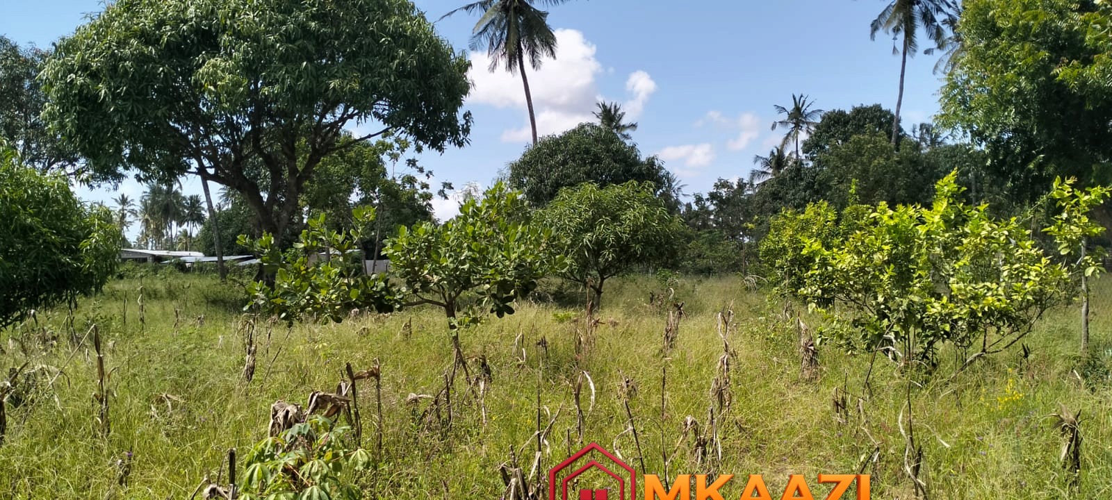 1.75 Acres (6) Prime 1.75-Acre Property for Sale in Matsangoni, Malindi | KES 3.5M