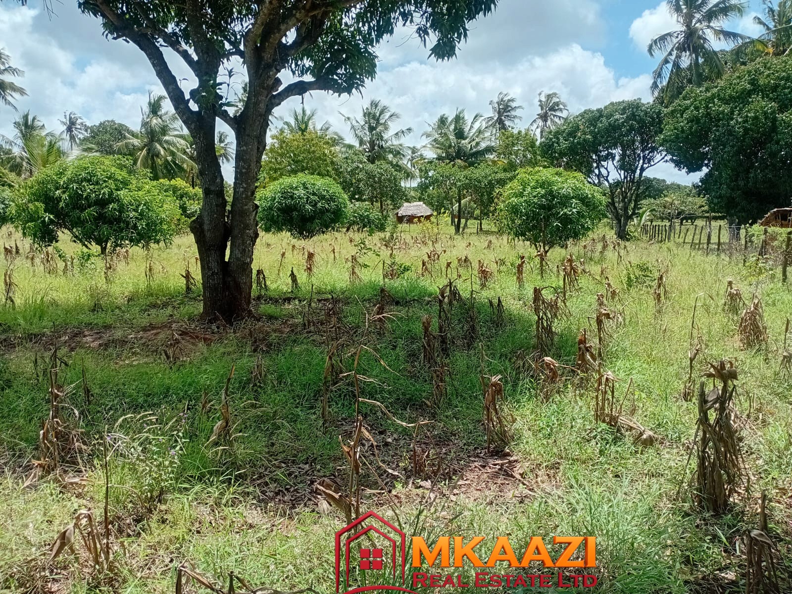 1.75 Acres (7) Prime 1.75-Acre Property for Sale in Matsangoni, Malindi | KES 3.5M