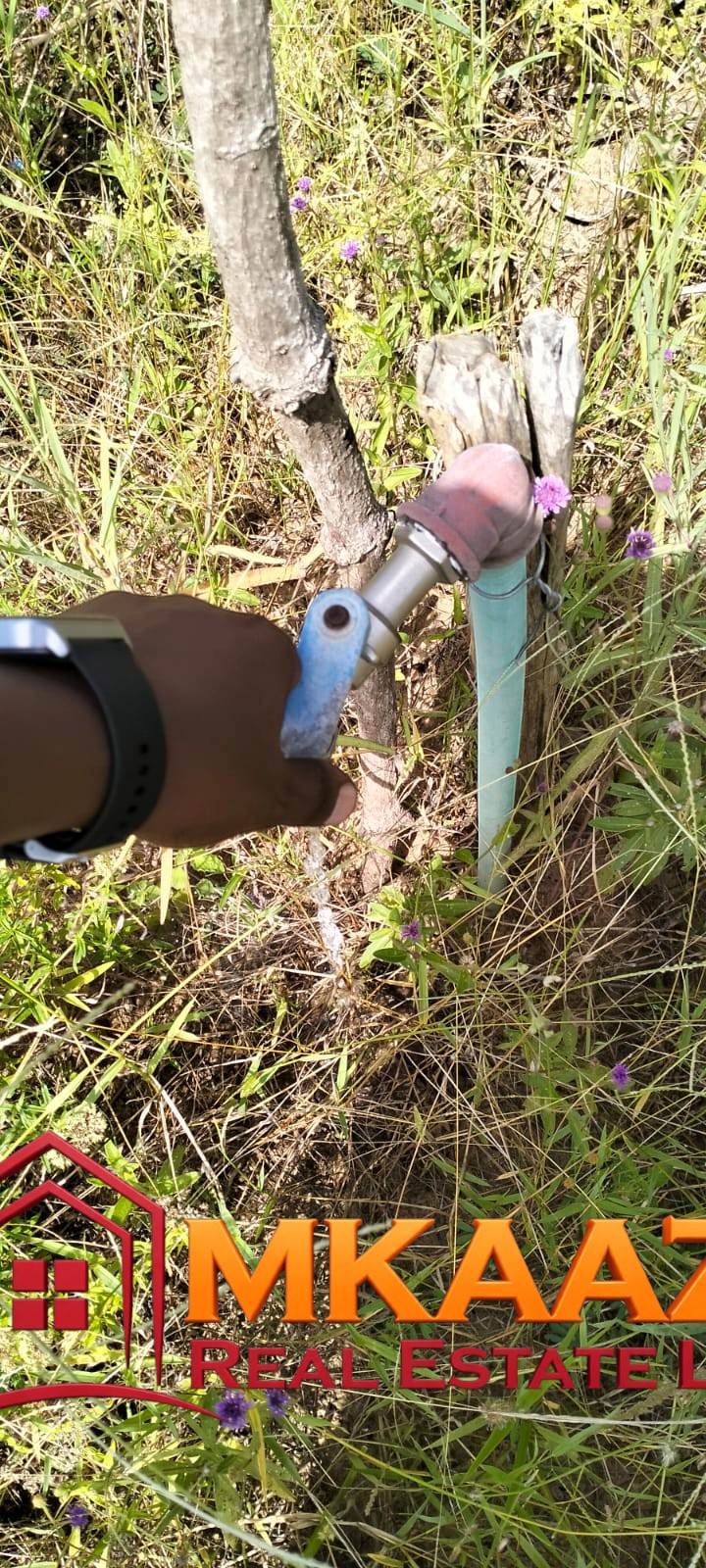 1.75 Acres (8) Prime 1.75-Acre Property for Sale in Matsangoni, Malindi | KES 3.5M