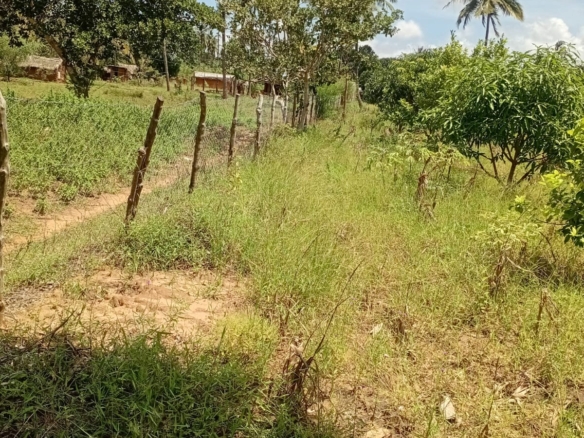 Prime 1.75-Acre Property for Sale in Matsangoni, Malindi | KES 3.5M