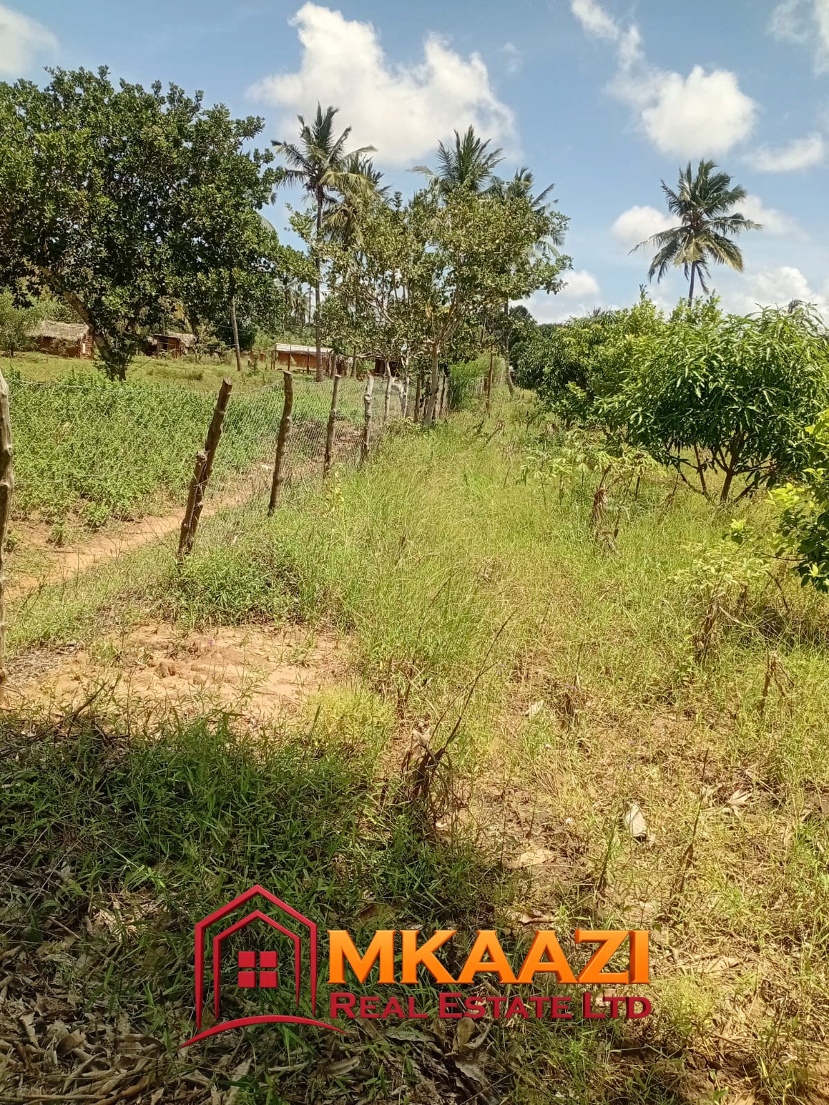 1.75 Acres (9) Prime 1.75-Acre Property for Sale in Matsangoni, Malindi | KES 3.5M