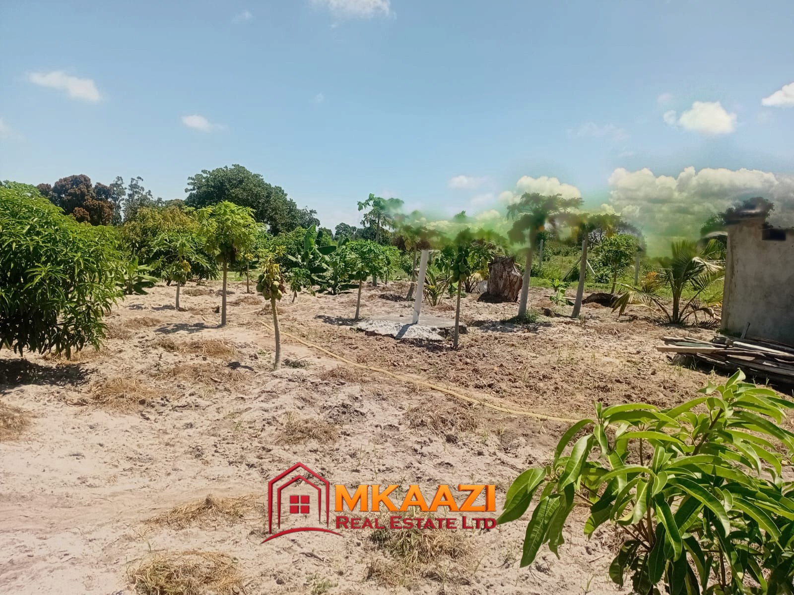 10 Acres (10) 10-Acre Agricultural Property for Sale in Mjomboni – Mature Coconut & Mango Trees | KES 30M