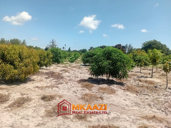 10-Acre Agricultural Property for Sale in Mjomboni – Mature Coconut & Mango Trees | KES 30M