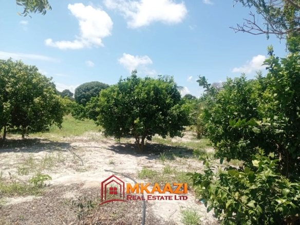 10-Acre Agricultural Property for Sale in Mjomboni – Mature Coconut & Mango Trees | KES 30M