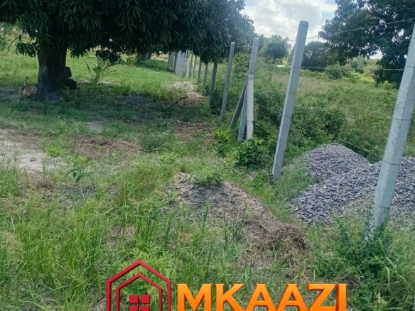 10-Acre Agricultural Property for Sale in Mjomboni – Mature Coconut & Mango Trees | KES 30M