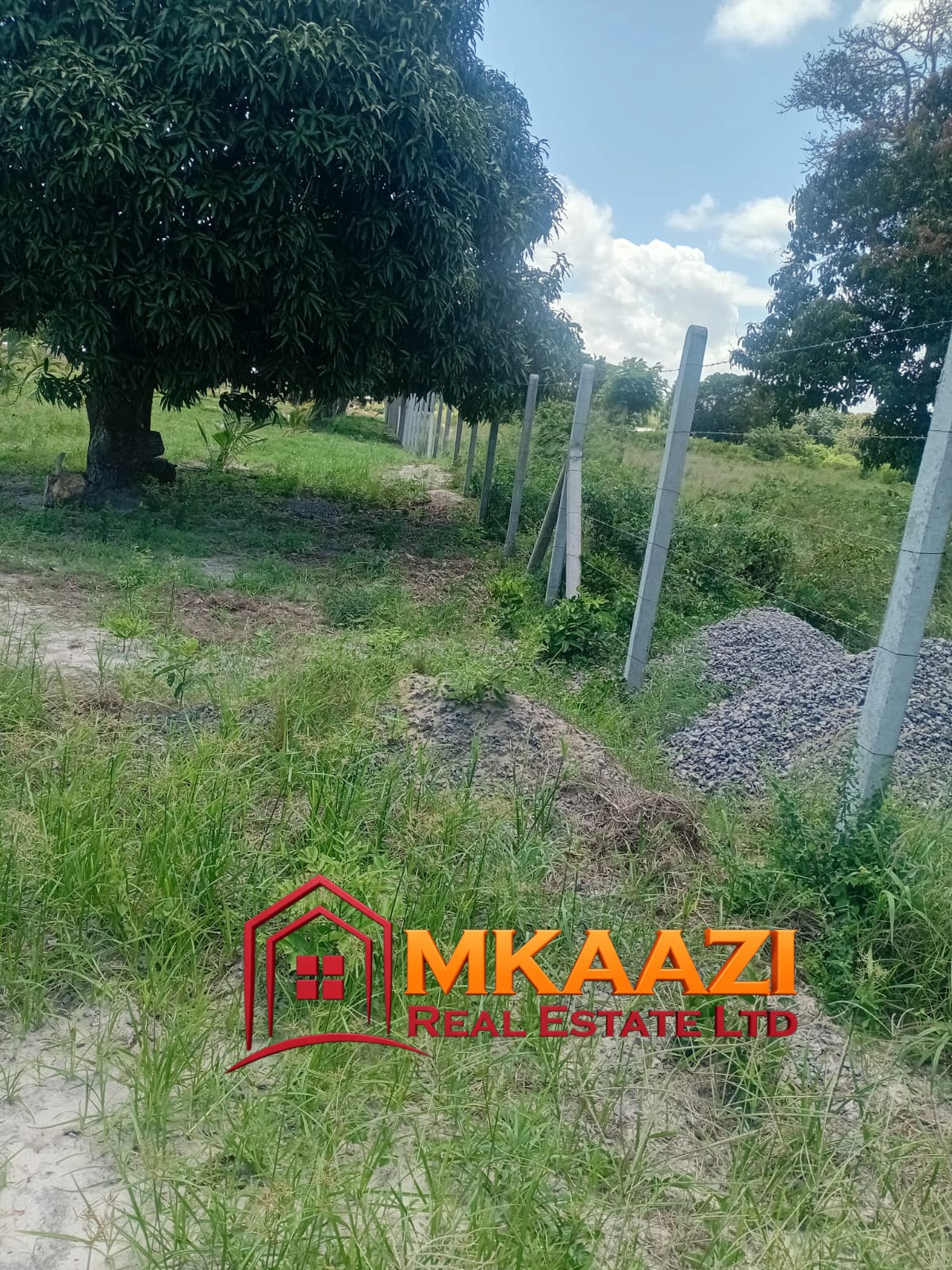 10 Acres (16) 10-Acre Agricultural Property for Sale in Mjomboni – Mature Coconut & Mango Trees | KES 30M