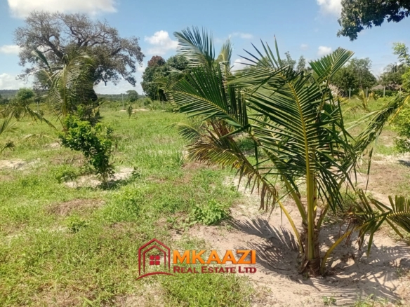 10-Acre Agricultural Property for Sale in Mjomboni – Mature Coconut & Mango Trees | KES 30M