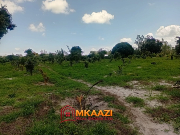 10-Acre Agricultural Property for Sale in Mjomboni – Mature Coconut & Mango Trees | KES 30M