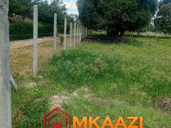 10-Acre Agricultural Property for Sale in Mjomboni – Mature Coconut & Mango Trees | KES 30M