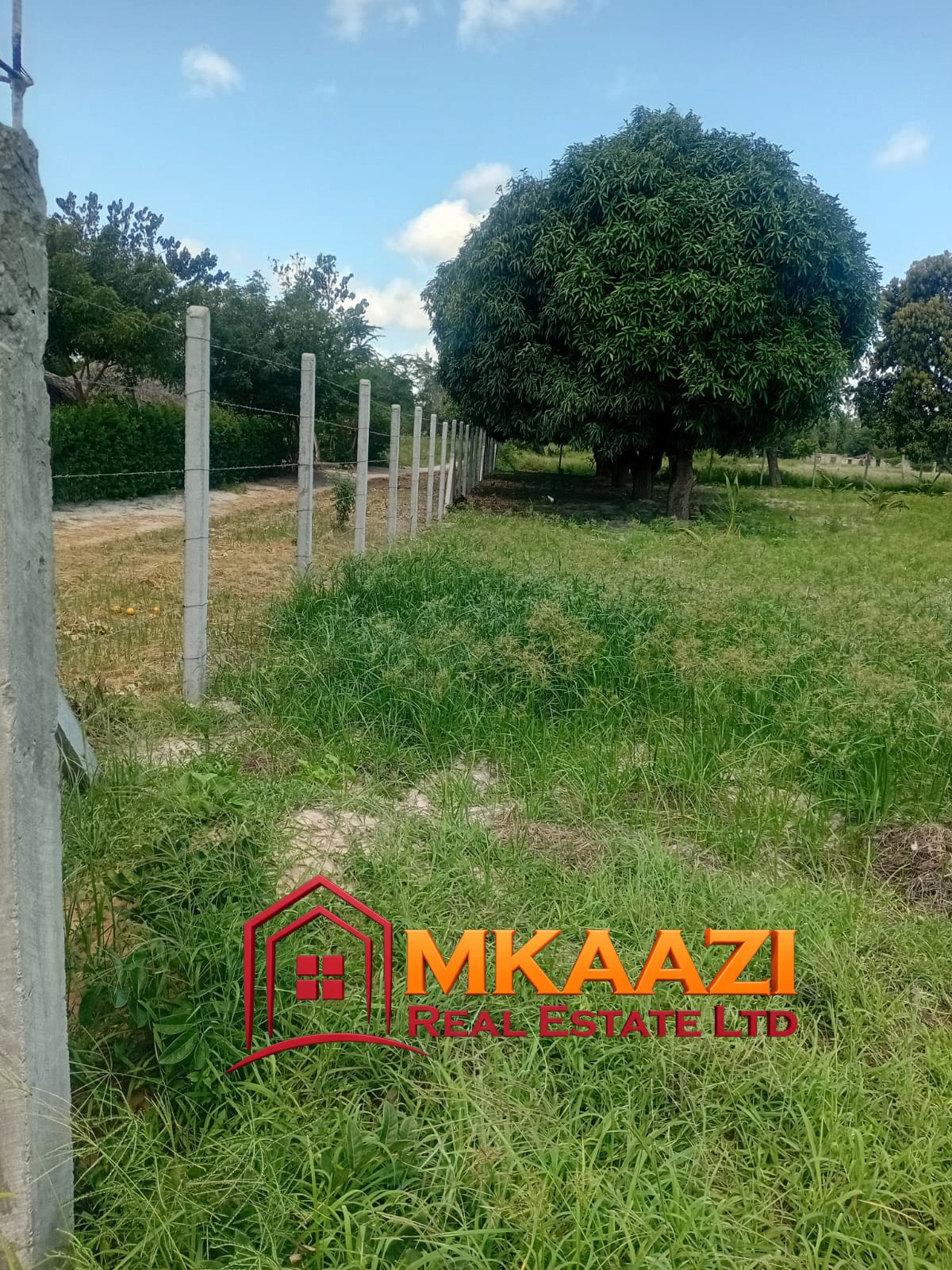 10 Acres (6) 10-Acre Agricultural Property for Sale in Mjomboni – Mature Coconut & Mango Trees | KES 30M