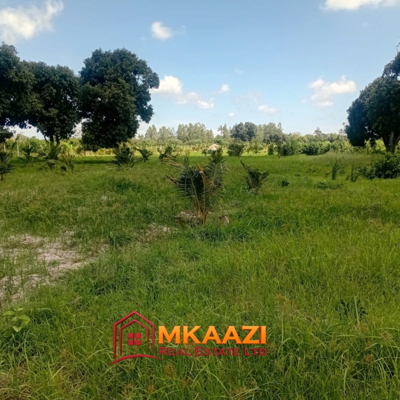 10-acre agricultural property for sale in Mjomboni with approximately 600 mature coconut trees, 250 mango trees and concrete-post fencing