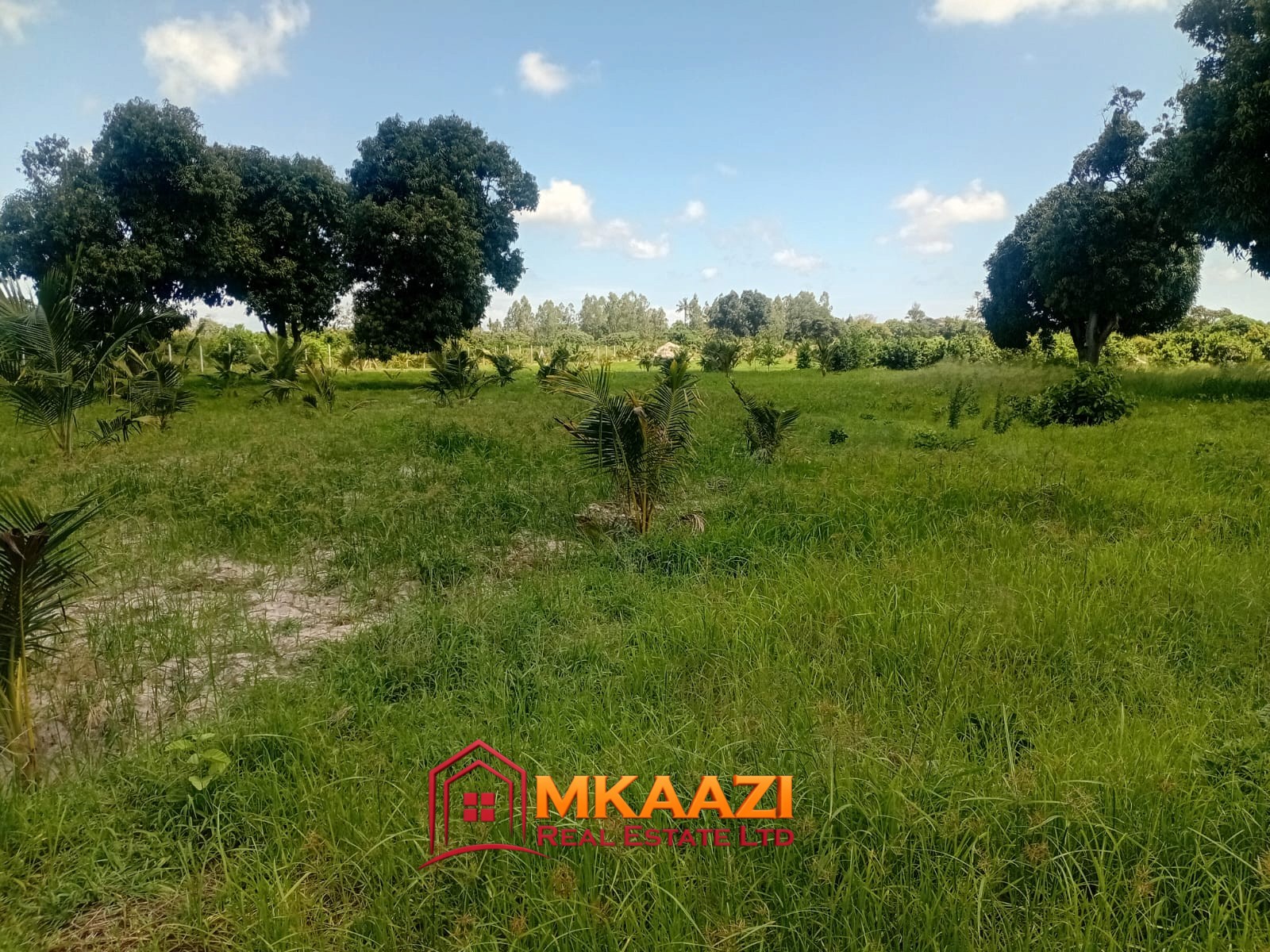 10 Acres (7) 10-acre agricultural property for sale in Mjomboni with approximately 600 mature coconut trees, 250 mango trees and concrete-post fencing