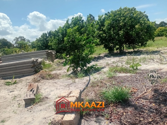 10-Acre Agricultural Property for Sale in Mjomboni – Mature Coconut & Mango Trees | KES 30M