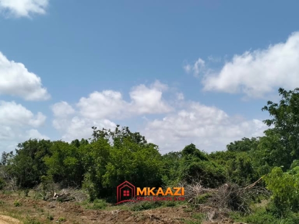 Prime 10 Acres for Sale Along the LAPSSET Road in Bora Imani, Hindi, Lamu – KSh 55 Million