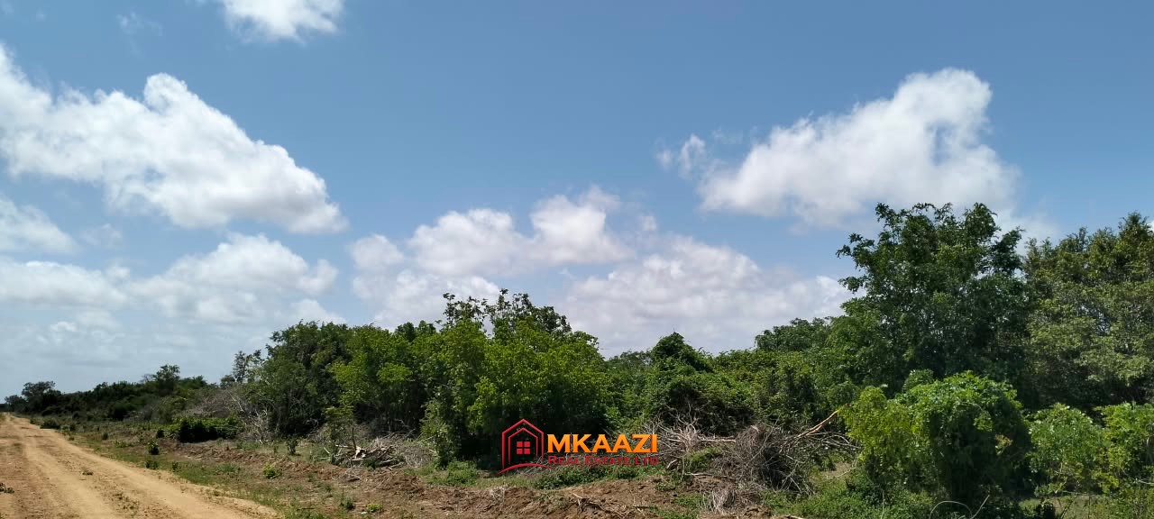 10 Acres lamu (1) Prime 10 Acres for Sale Along the LAPSSET Road in Bora Imani, Hindi, Lamu – KSh 55 Million